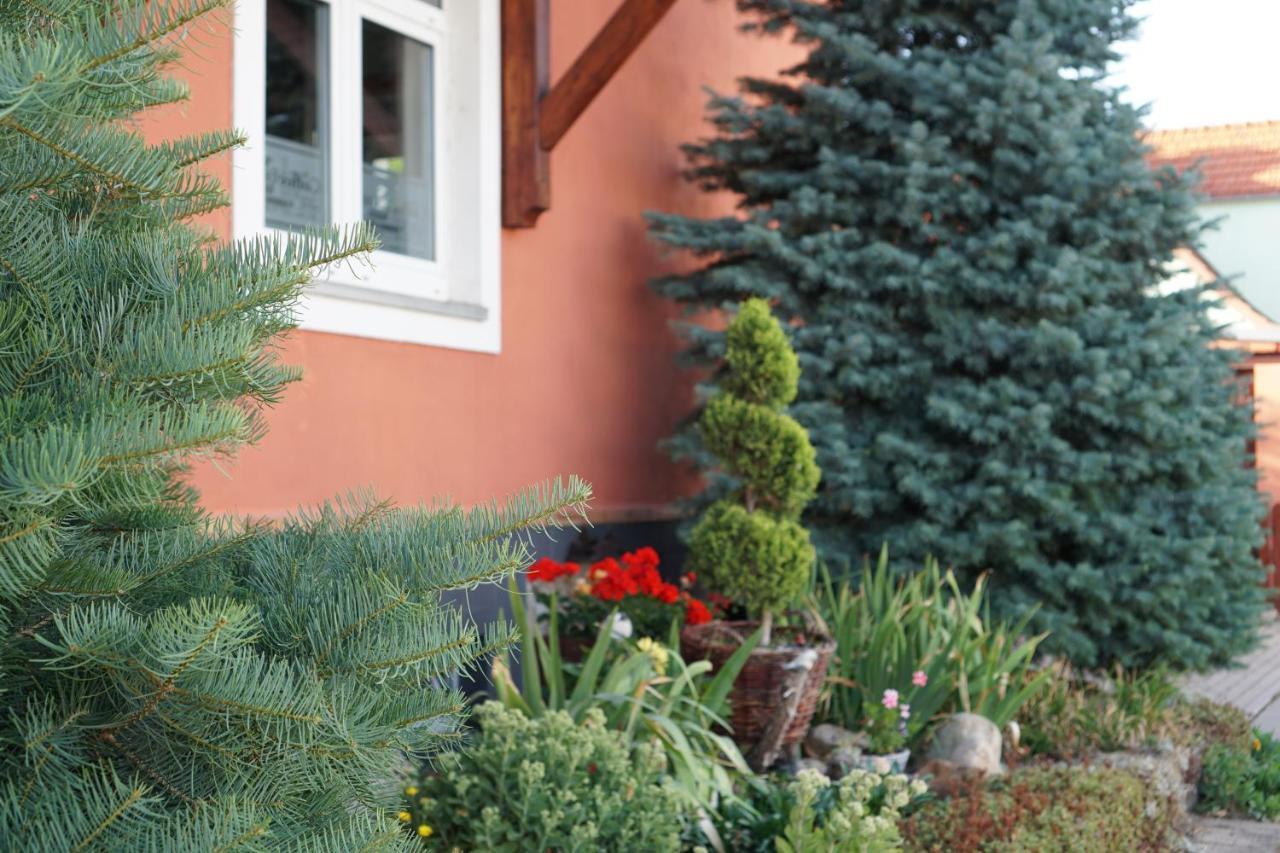 Midgard Im Sagenharz - Family-apartment, 2 Sz & Wlan Apartment Thale